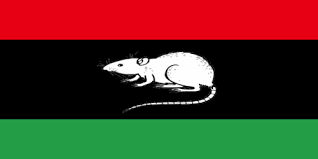 XXXVI 4 - Le peuple libyen regrette le drapeau vert de sa démocratie directe